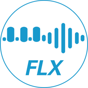 FLX 图标